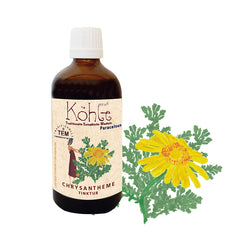 KÖHLE Chrysantheme – Mono Frischpflanzen Tinktur