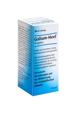 Galium-Heel®