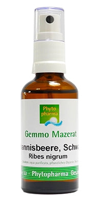 Phytopharma Johannisbeere Spray Gemmomazerat