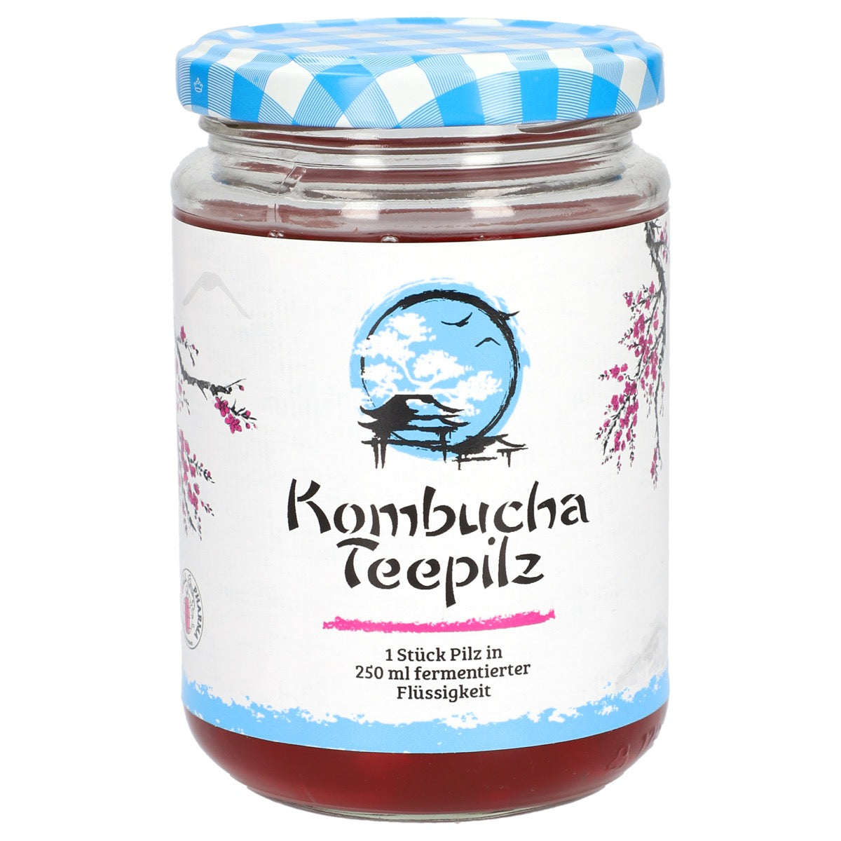 Kombucha Teepilz
