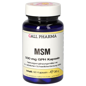 MSM 500 mg GPH Kapseln