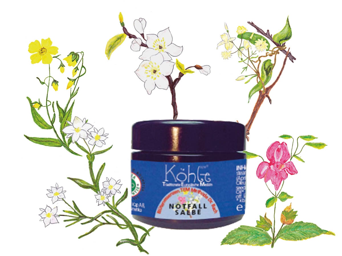 Notfallsalbe – Fünf Blüten Mischung