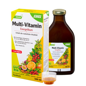 SALUS Multi-Vitamin-Energetikum bio